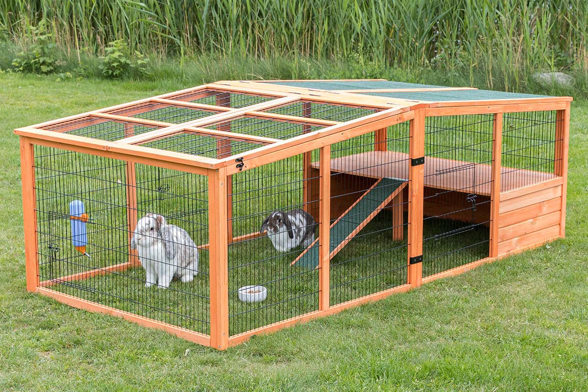 LesMeilleursEnclospourLapin