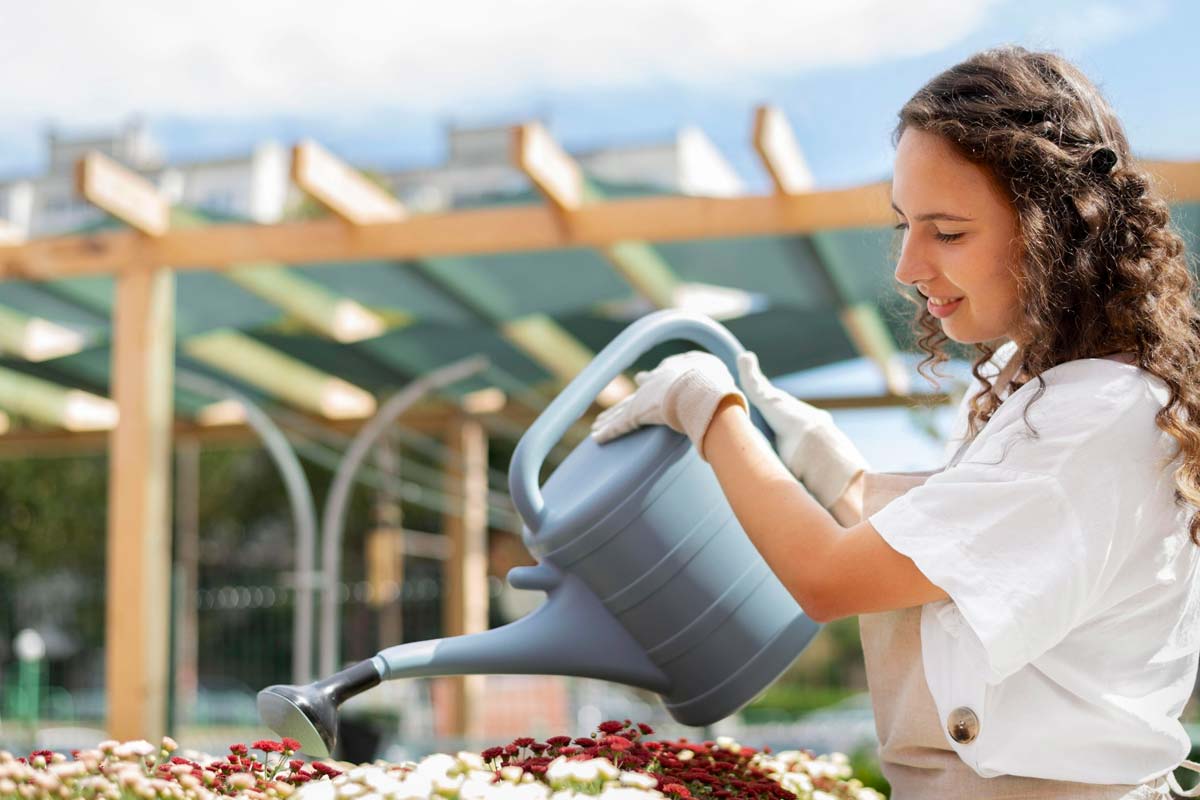 arroser son jardin pendant une canicule