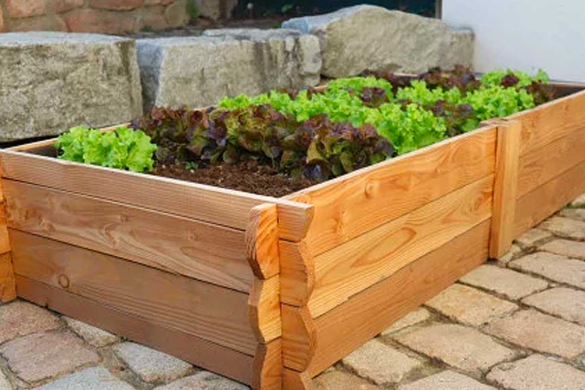 Installez un rectangle potager en bois non traité où bon vous semble, sans creuser