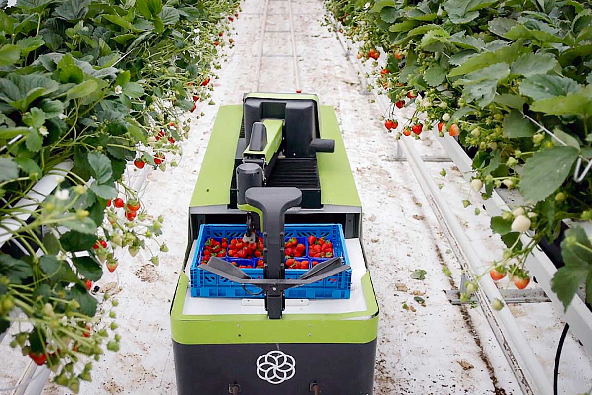Robot floriculture