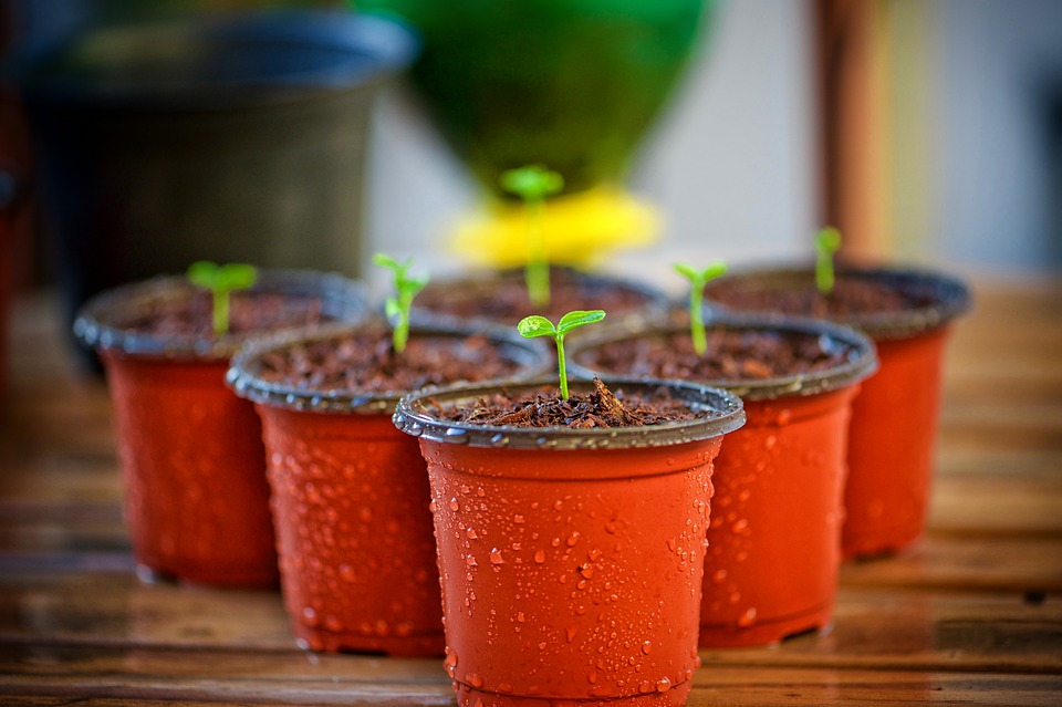 Pot de jardin