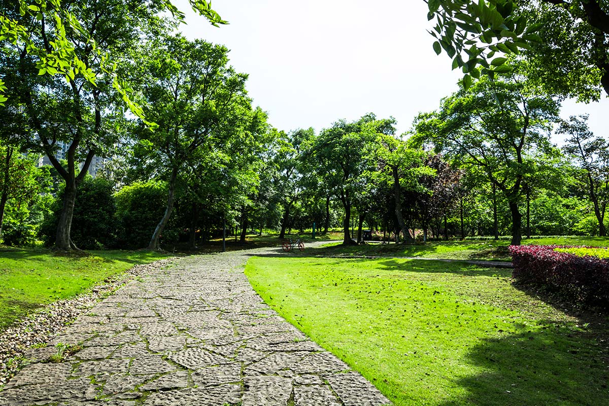 chemin en pierre naturelle dans jardin