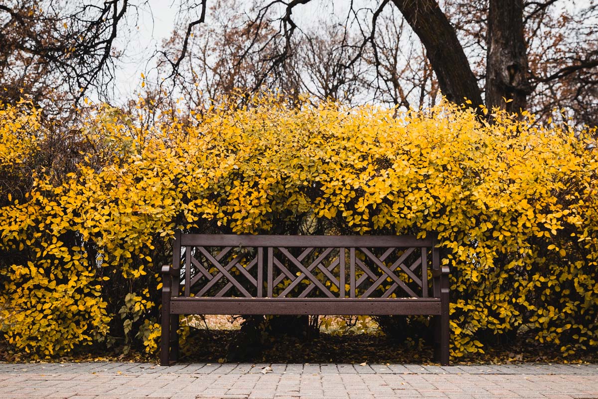 quels critères doit-on retenir pour choisir son banc de jardin idéal ?