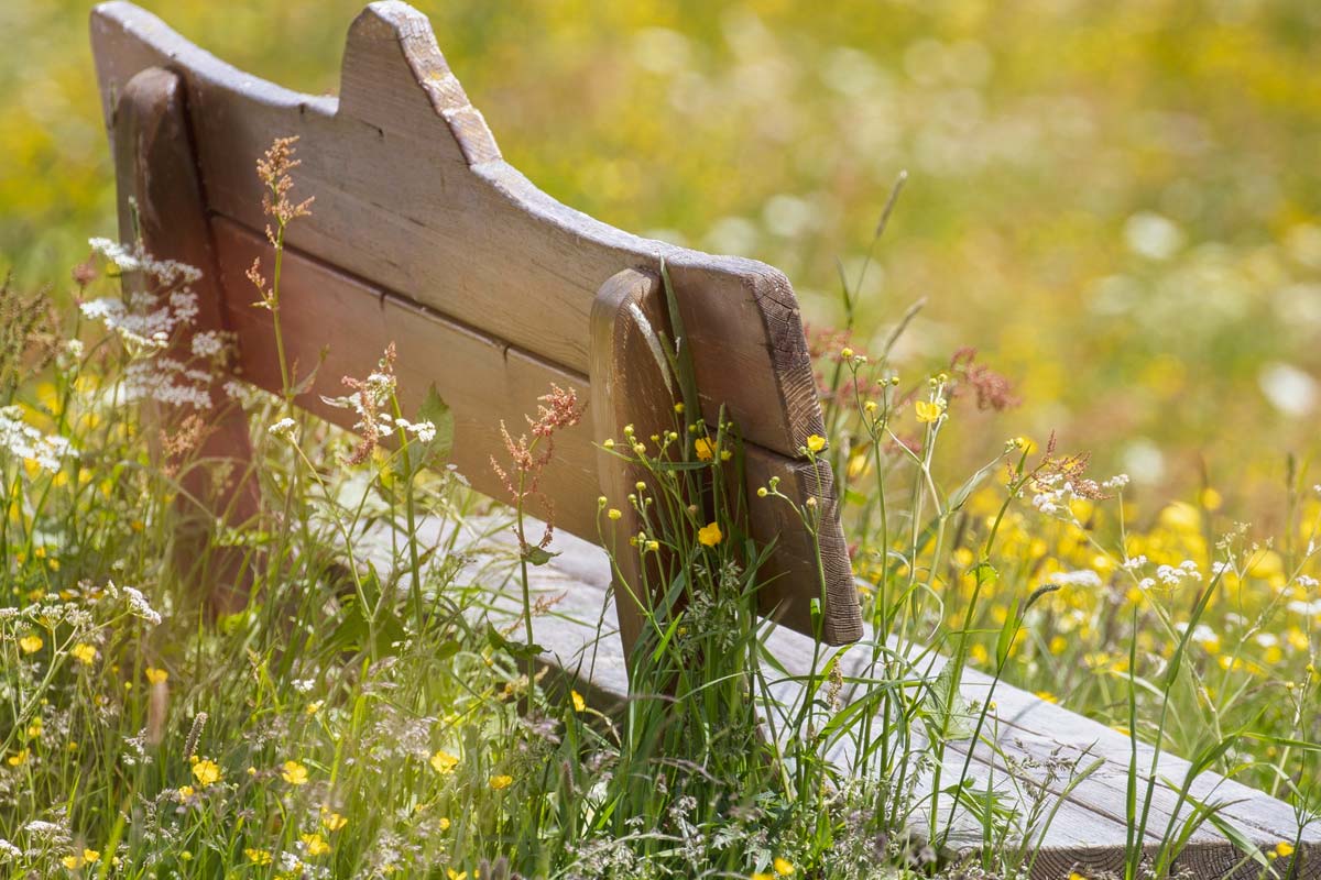  choisir son banc de jardin idéal ?